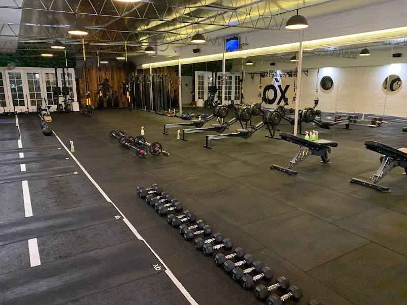 Fitness XO Richmond Gym
