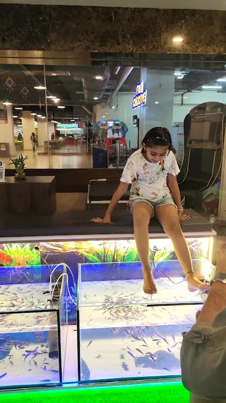 Natural Fish Spa