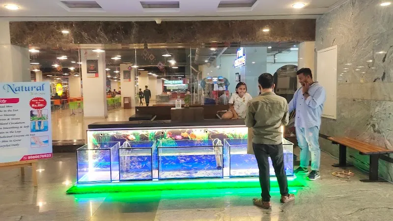 Natural Fish Spa