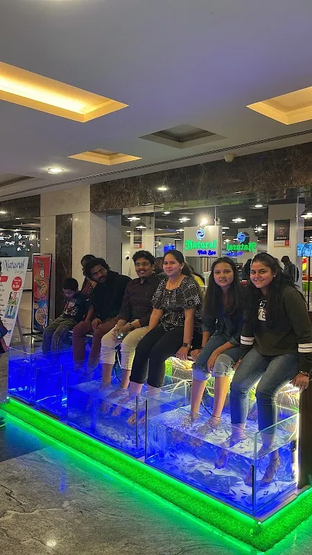 Natural Fish Spa