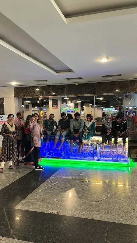 Natural Fish Spa