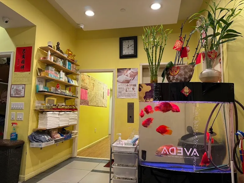 Best Spa Flushing
