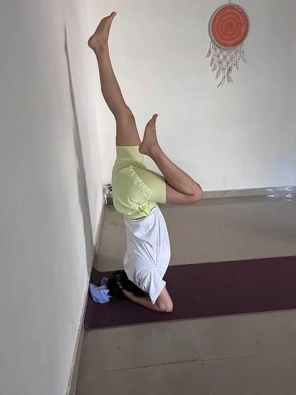 TAPAS - The Yoga Studio