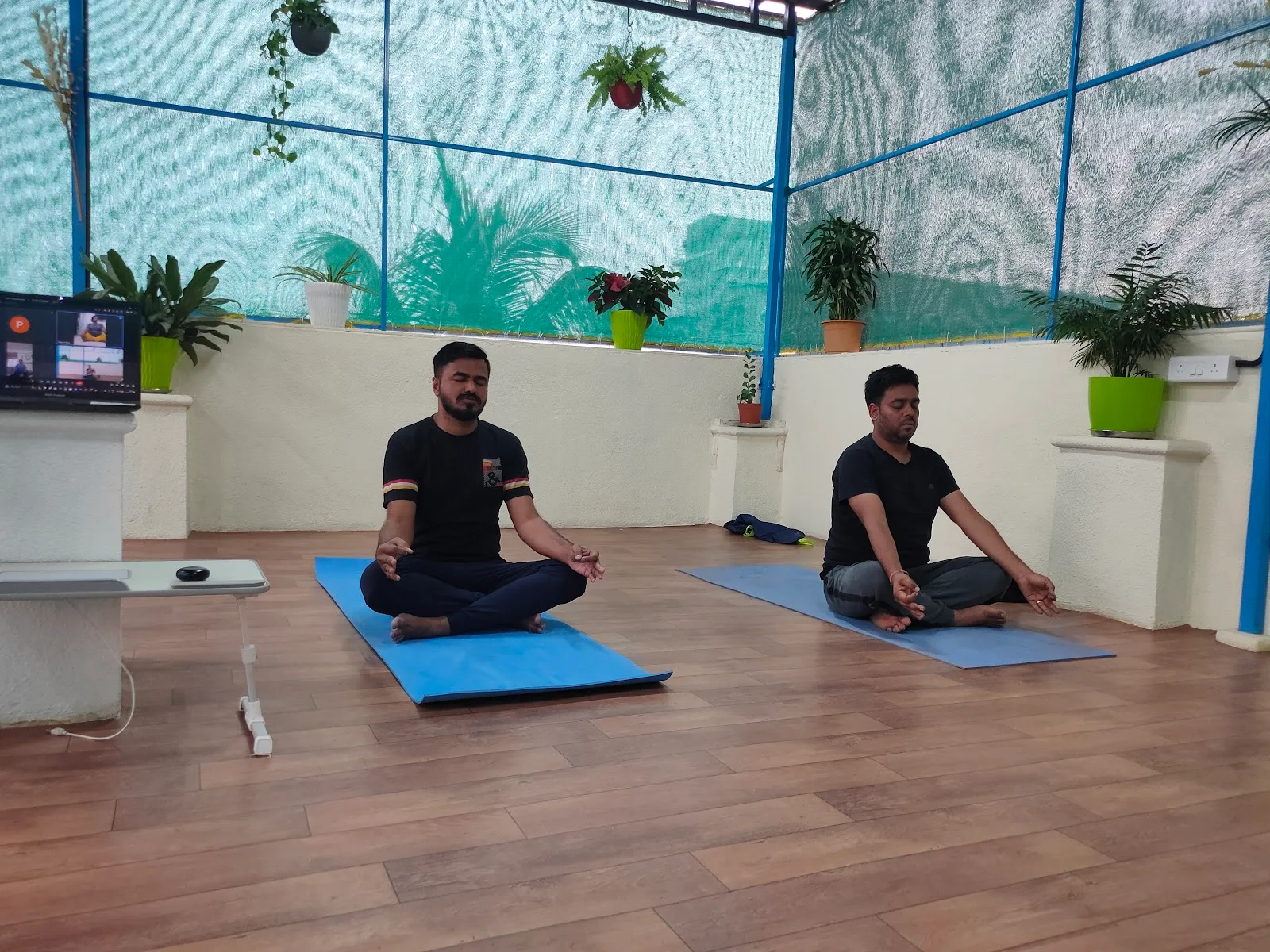 Shree Yoga Fitness