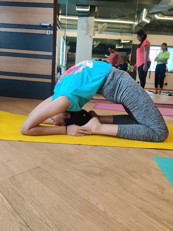 Lotus yoga studio