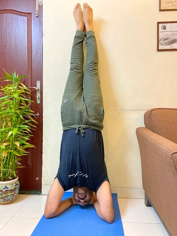 Vidhiyasa