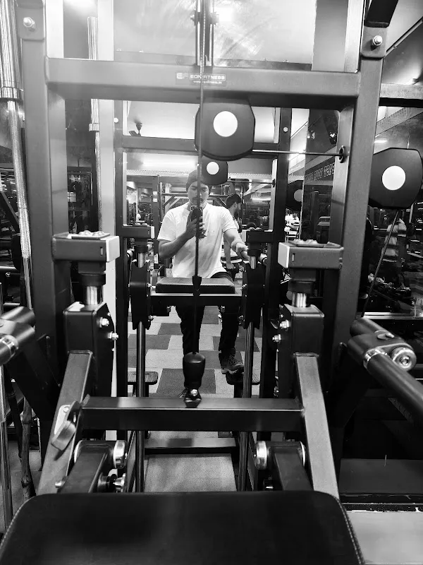 Wellness Fit Academy