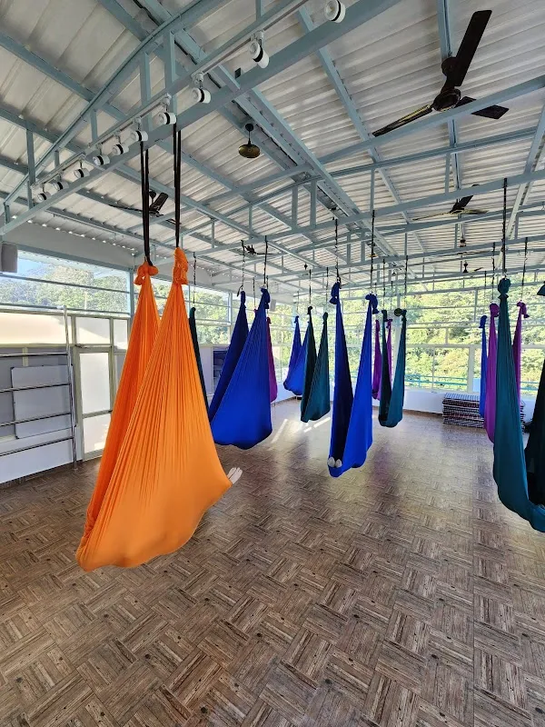 Pancha Koshas - Aerial yoga & Arts School