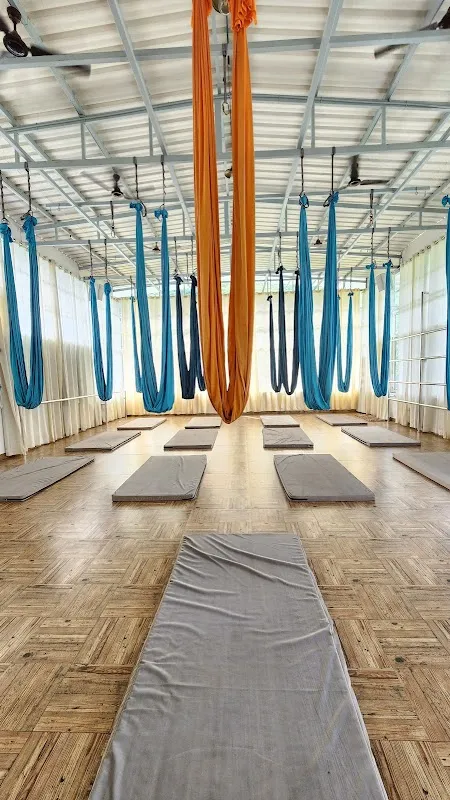 Pancha Koshas - Aerial yoga & Arts School