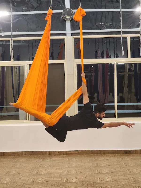 Pancha Koshas - Aerial yoga & Arts School