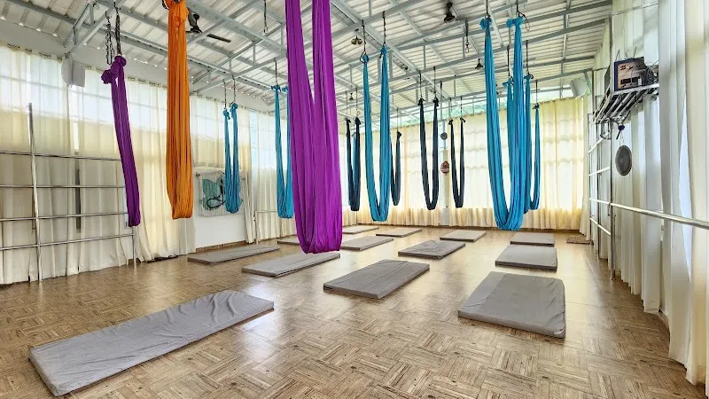 Pancha Koshas - Aerial yoga & Arts School
