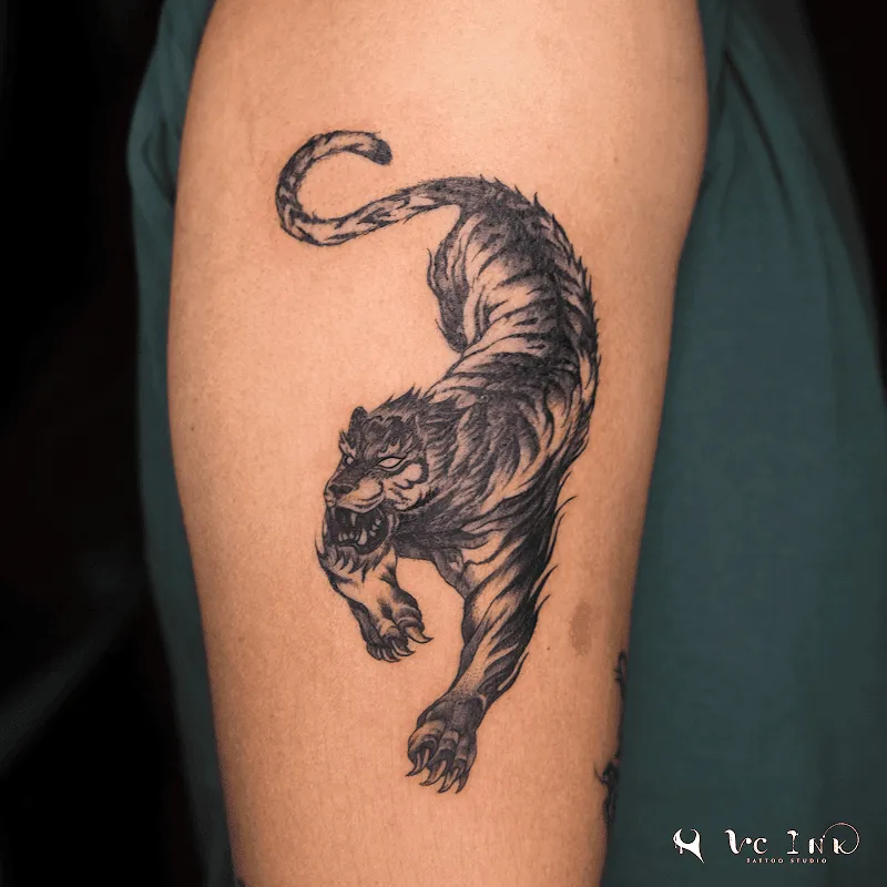 VC INK