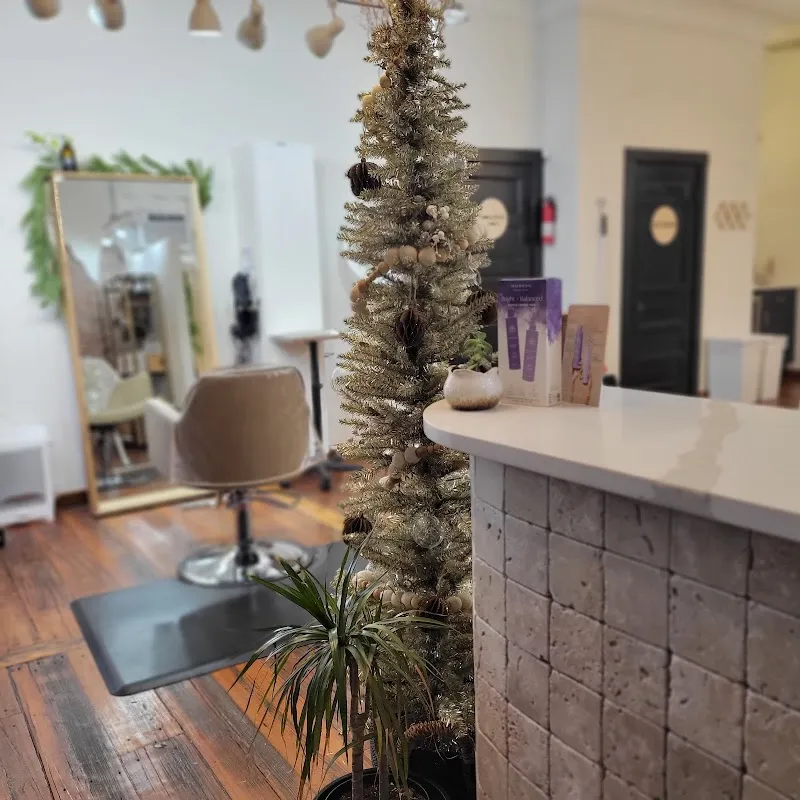 The Organic Salon Kansas City