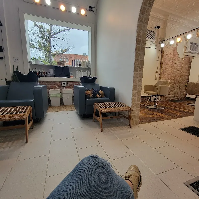The Organic Salon Kansas City