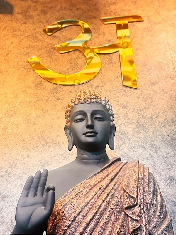 Avatar wellness spa