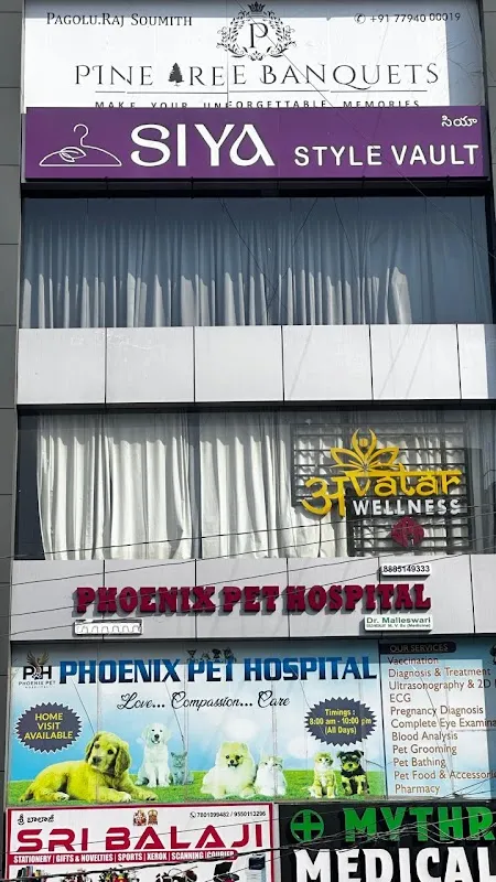 Avatar wellness spa