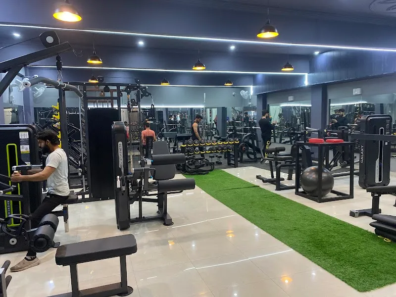 The Dynamic Fitness