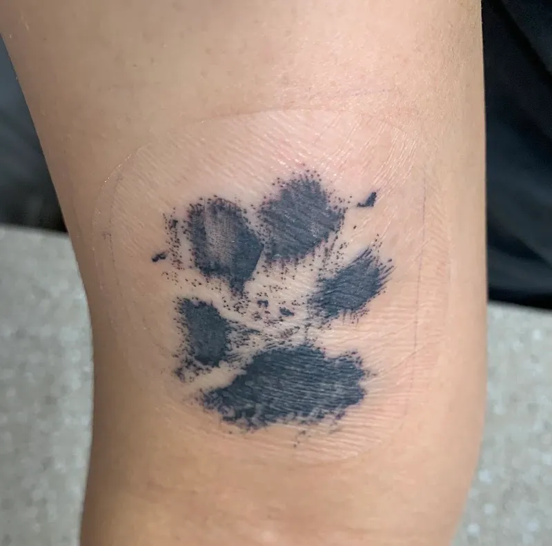 Formula Tattoo Studio - Tattoo and Piercing