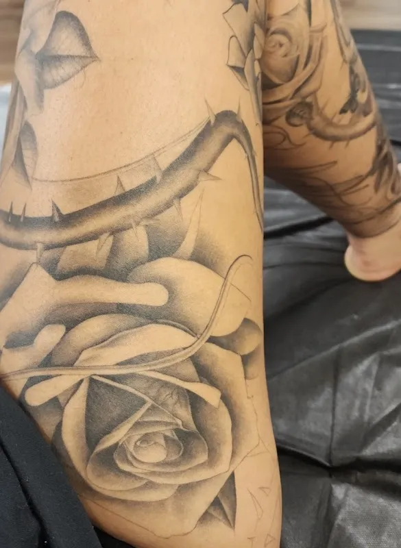 Formula Tattoo Studio - Tattoo and Piercing
