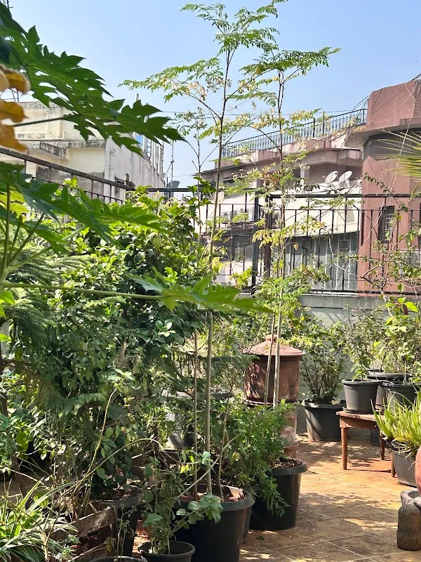 The Seventh Sense Movement Centre