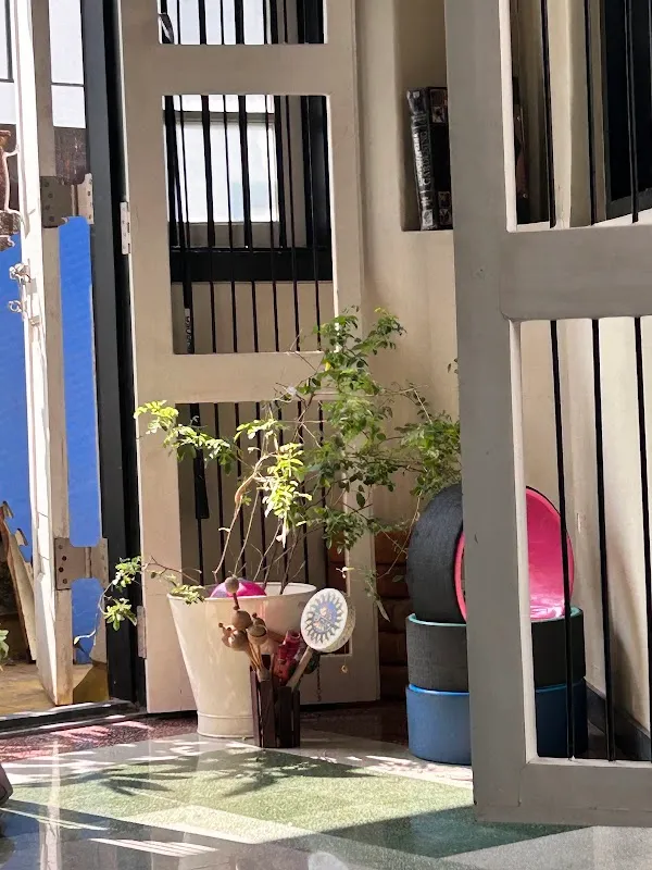 The Seventh Sense Movement Centre