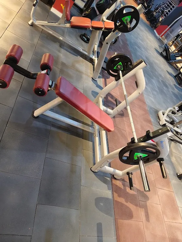 Apex Fitness Gym