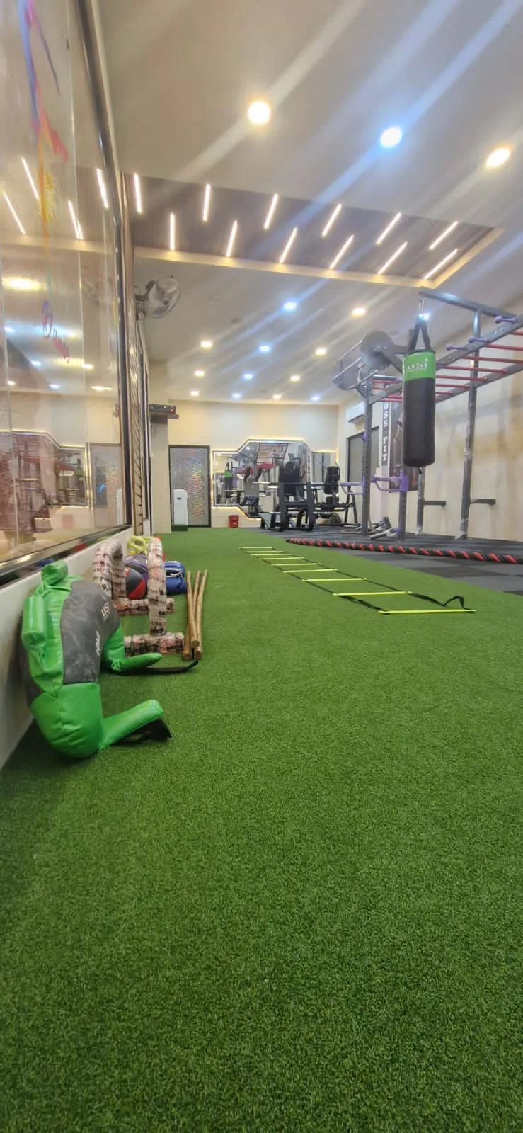 Vibe - Premium Women's Fitness Studio