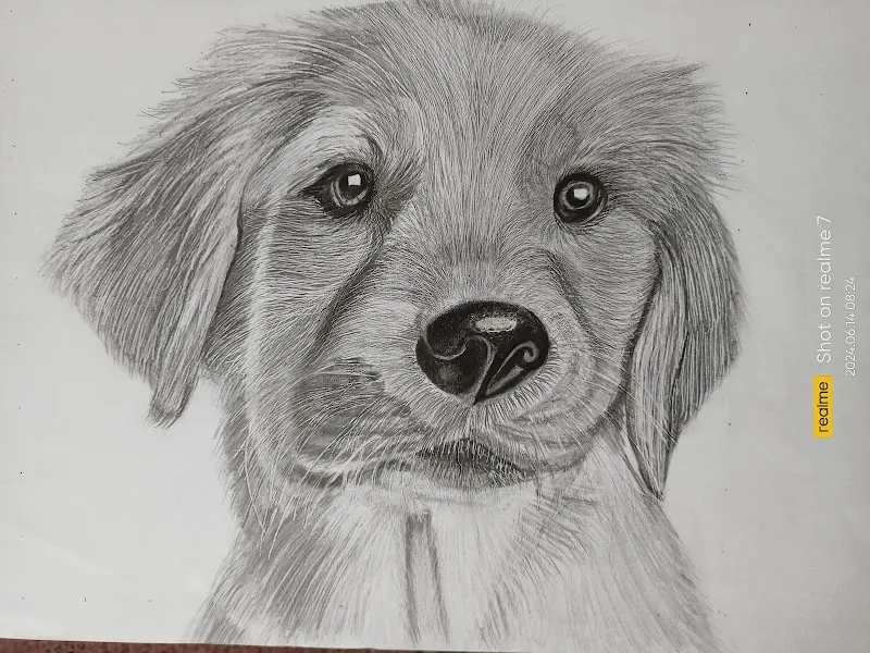 Lavanya'S Art (Online Pencil Drawing classes)
