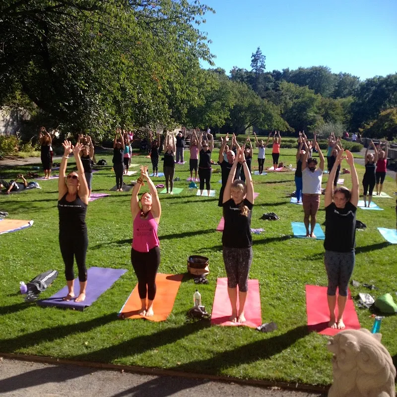 The Stretch Yoga