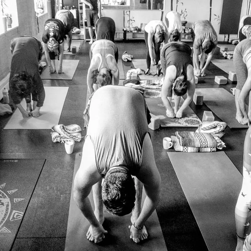 The Stretch Yoga