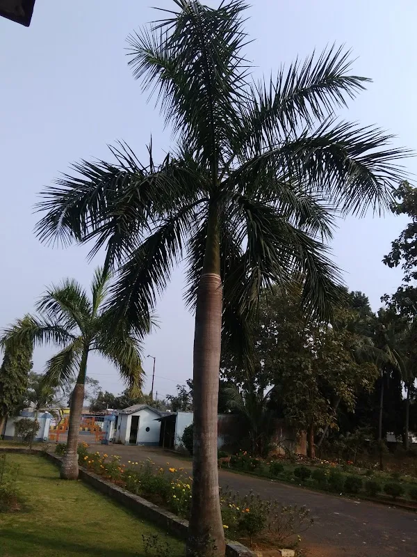 Prasad Kalinga Film Laboratory Ltd, Bhubaneswar