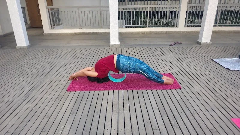 Wow Yoga Wellness World