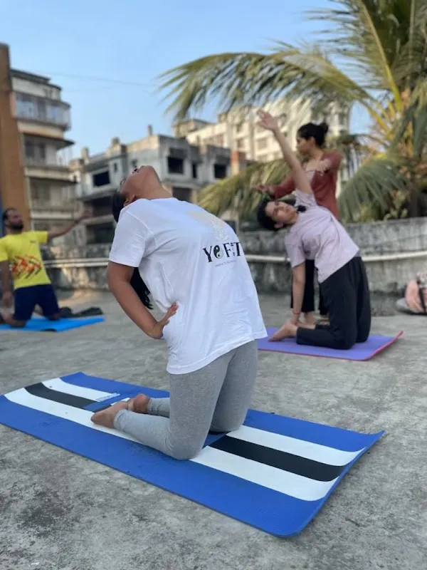 YoFit Training
