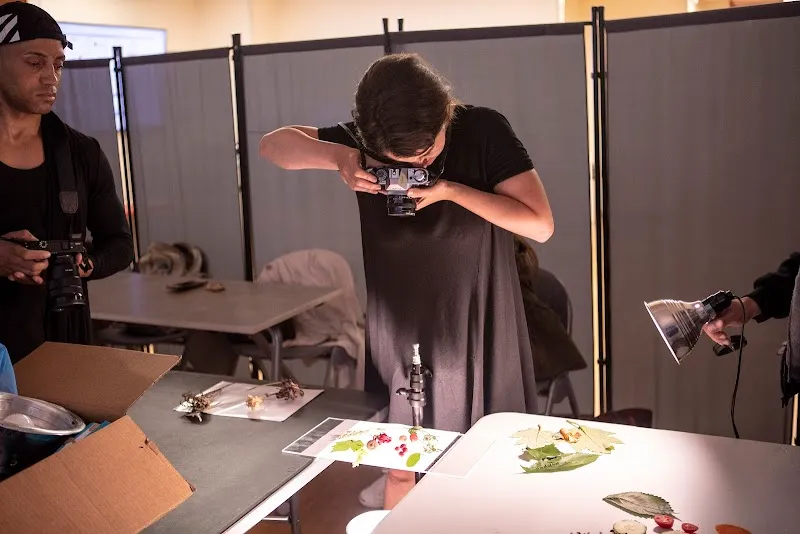 PI Art | Portfolio Prep, Art Competition, F1 Visa Art School NYC (MSA Accredited)