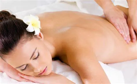 Bliss The Wellness Center Massage Spa Pitampura - Best Spa in Pitampura Rohini Delhi
