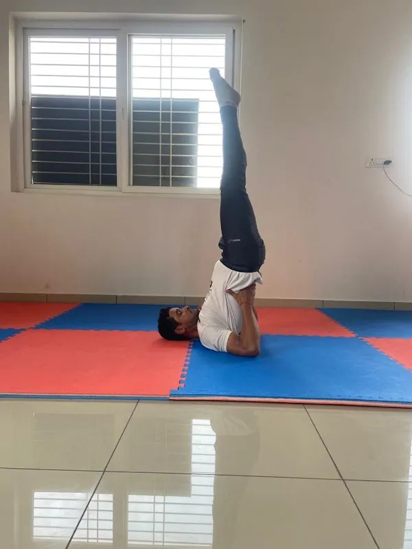 The Stay Fit Babita Yoga &Fitness