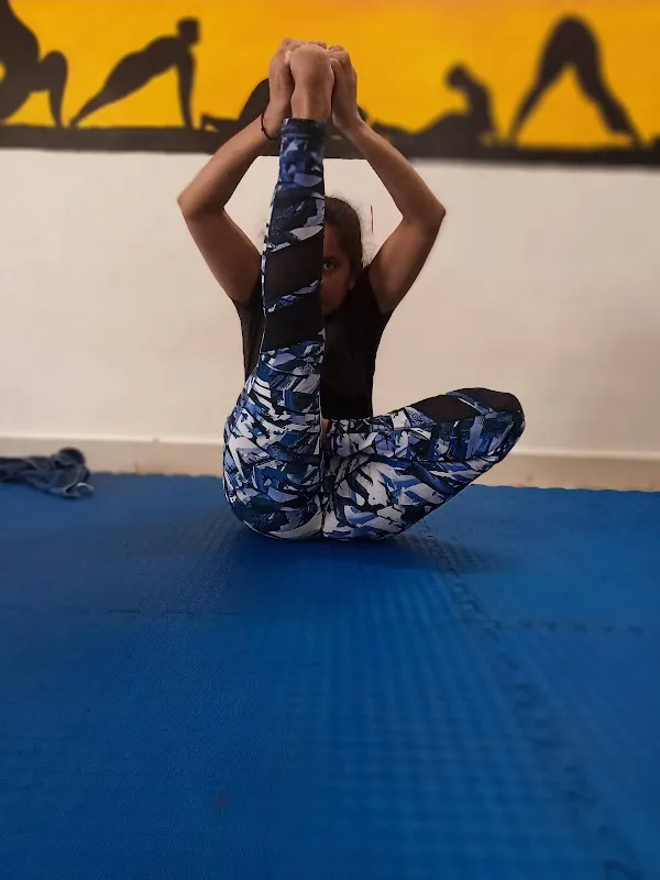 The Stay Fit Babita Yoga &Fitness