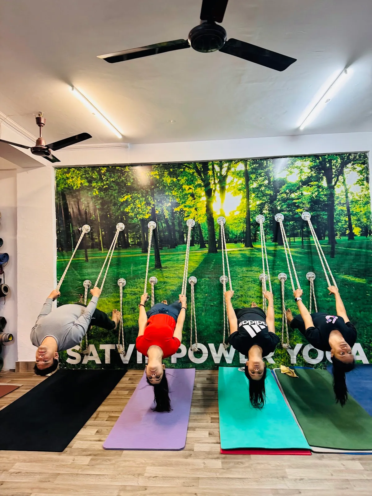 Satvik Power yoga and Yoga materials