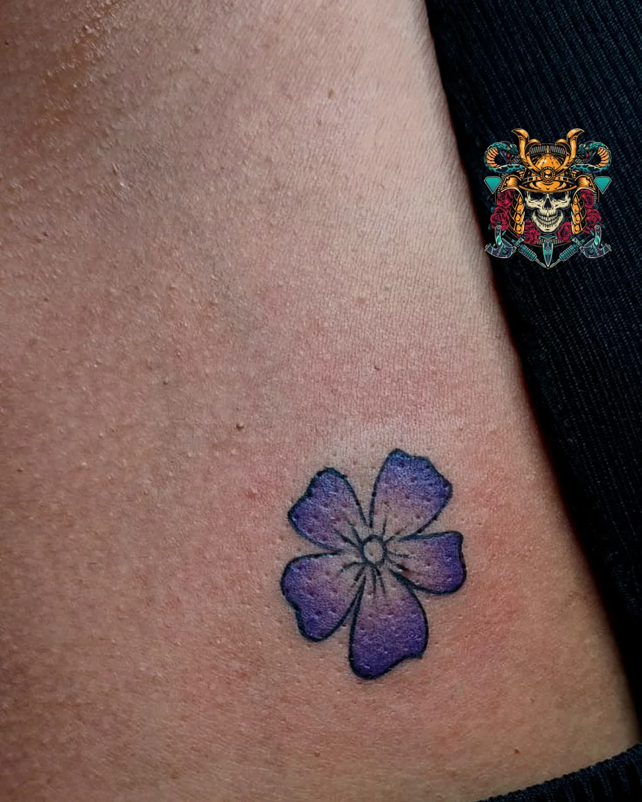 TATTOO THEORY