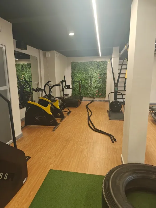 Tiger Gym Pattom