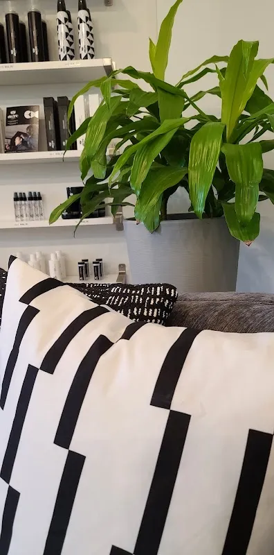 Northeast Hair and Co.