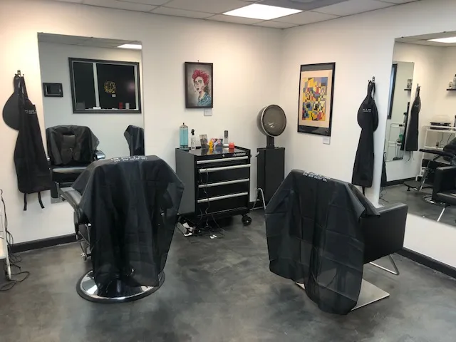the punk & poet cut and color co.