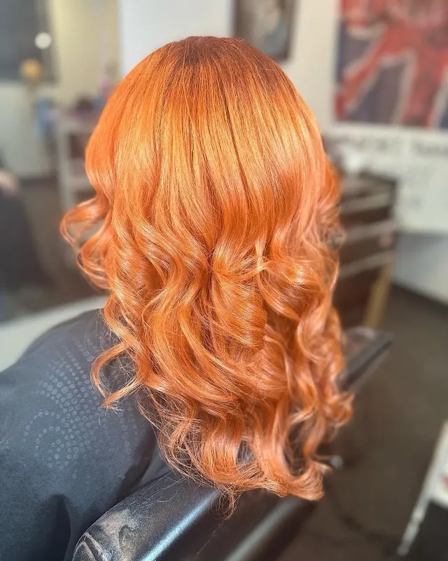 the punk & poet cut and color co.