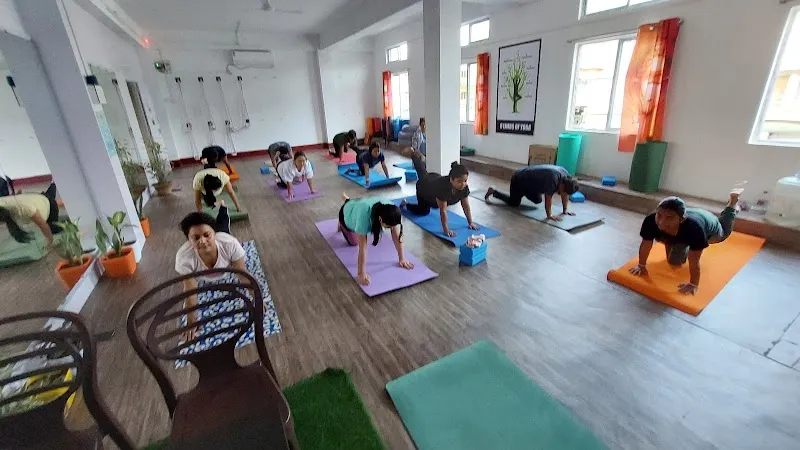 NIRVANA YOGA Studio