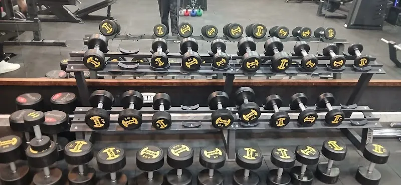 Nisha's fitness studio Gym