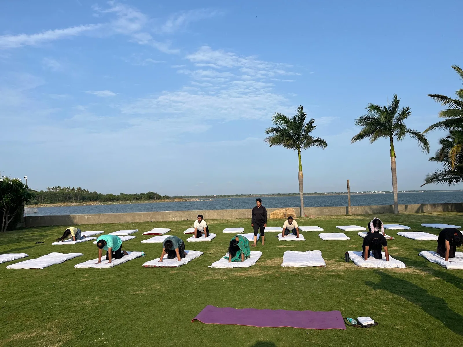 Aarya Yoga and Wellness Institute