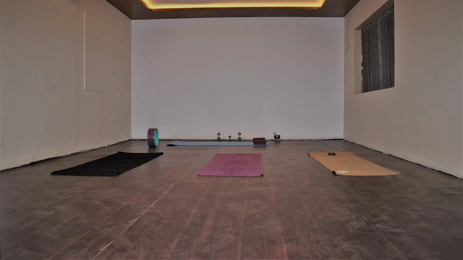 Aarya Yoga and Wellness Institute