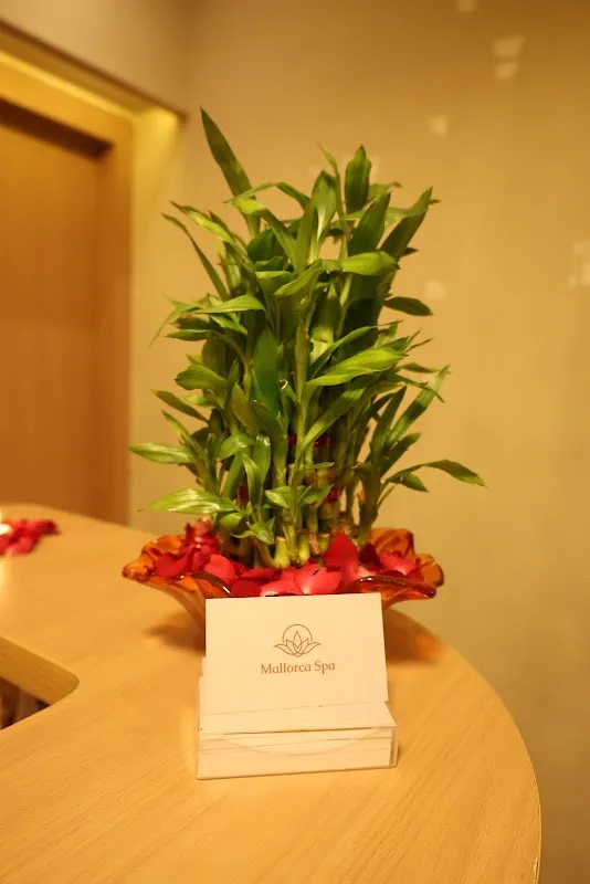 Mallorca Spa In Malad West