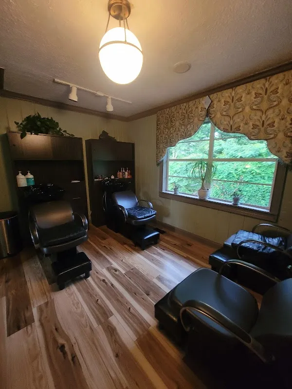Kiwi Salon Hair Color & Design