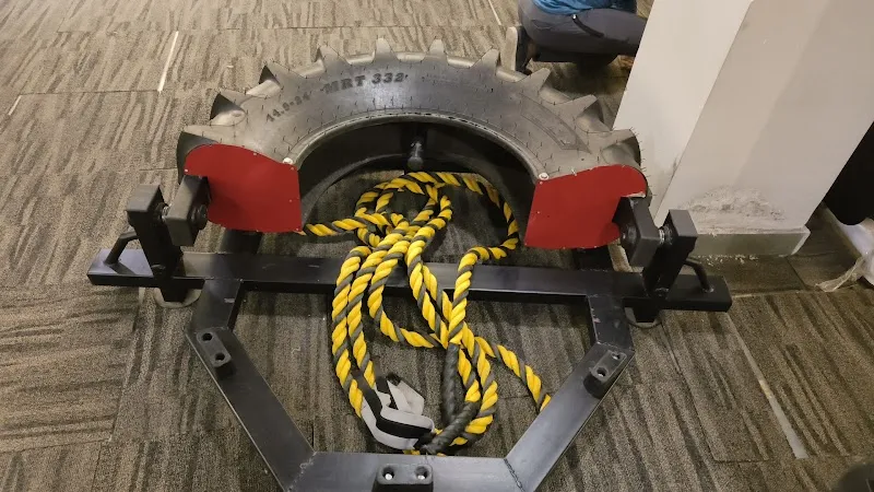 Strength Arena Gym